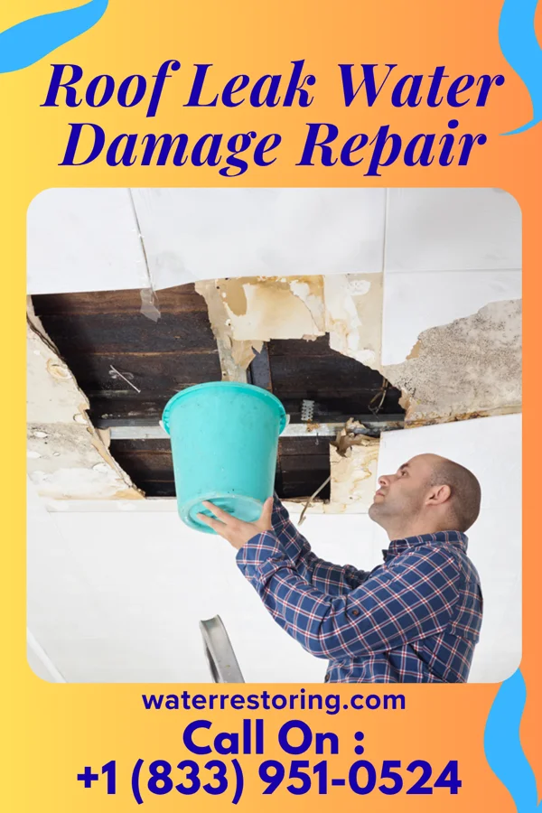 Roof Leak Water Damage Repair in Fort Smith, AR